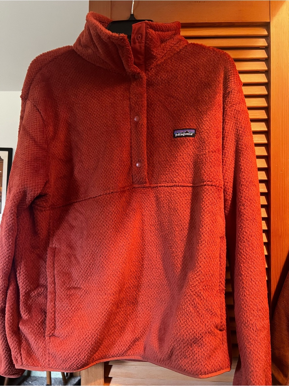 Patagonia Men’s Russet Red Fleece Pullover